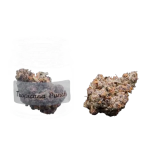Tropicana Punch